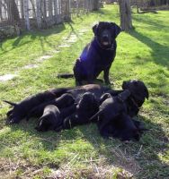 Familienfoto :-)